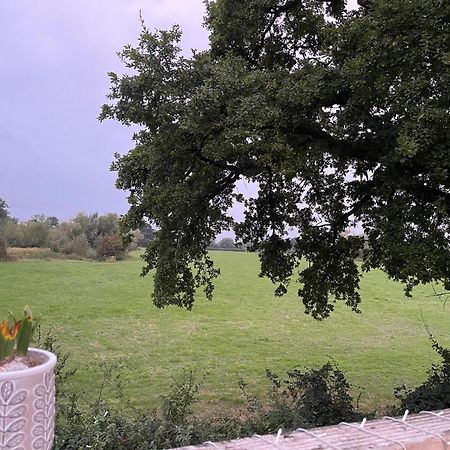 Severnside Boat And Caravan Park Gloucestershire - Caravan 1 Deerhurst エクステリア 写真